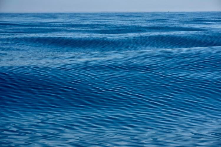 Il mare rende felici?